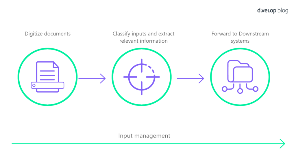 Input Management process at a glance