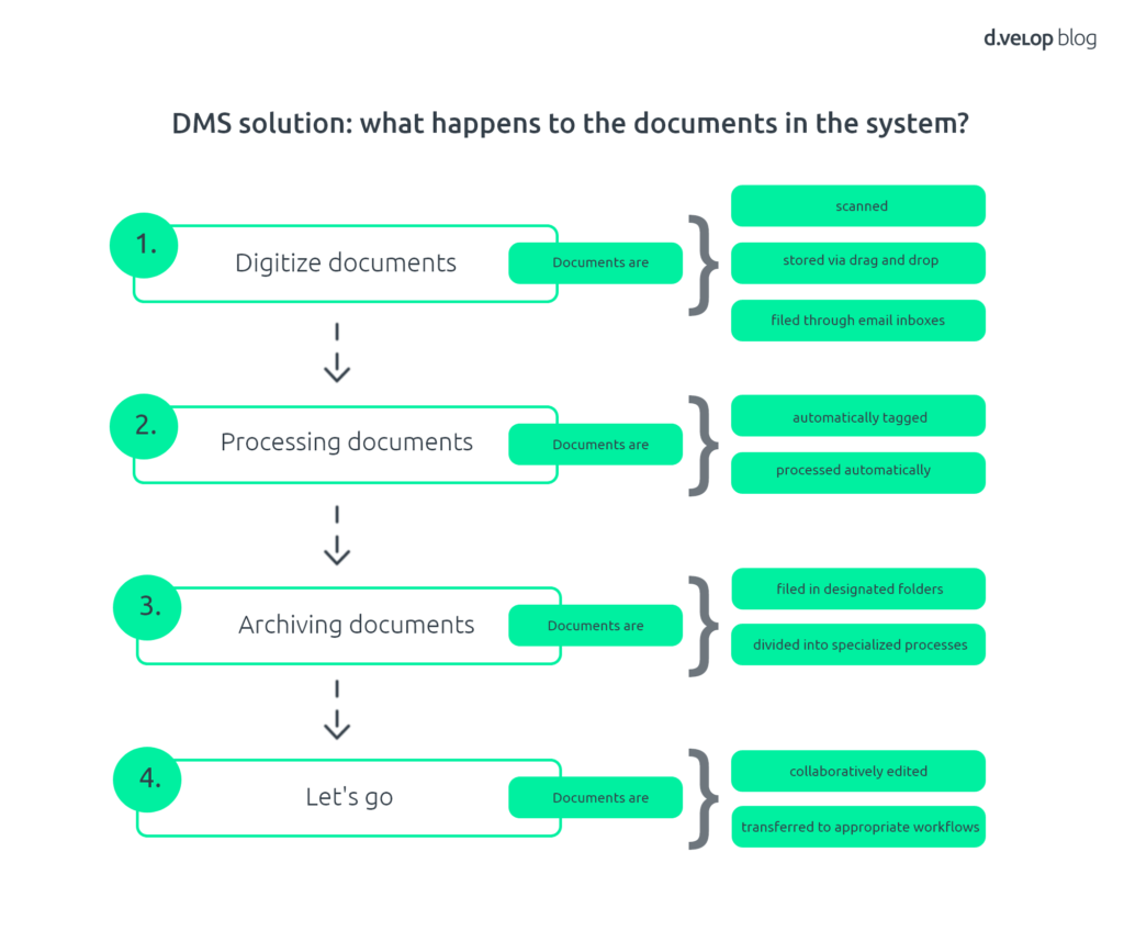 Infographic DMS solution