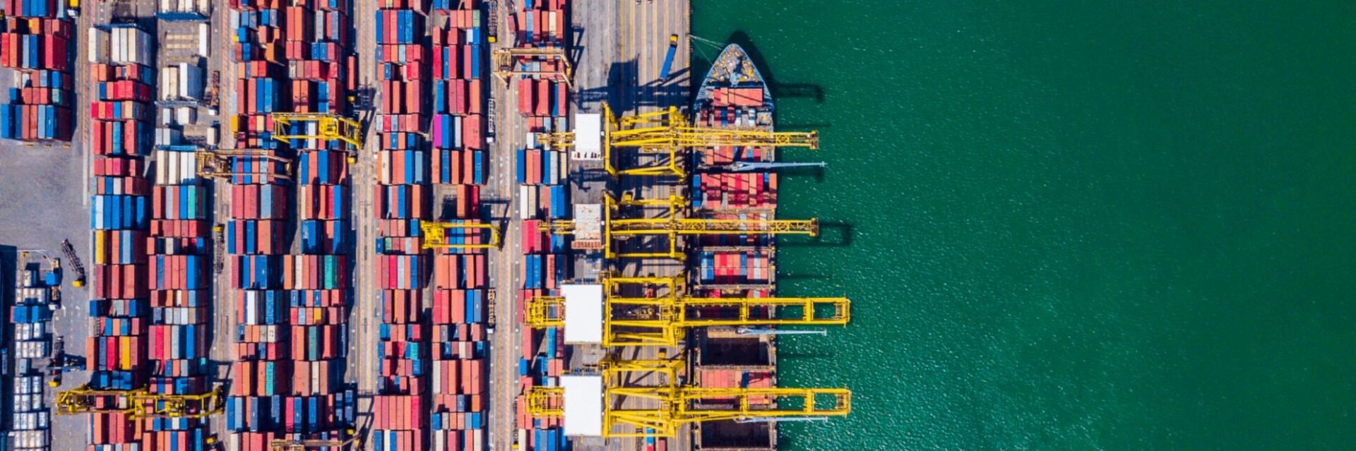 shipping process digitalisation