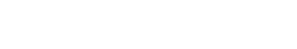 Logo d.velop competence network