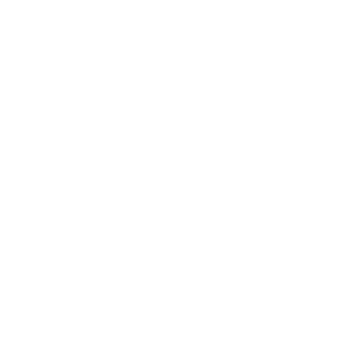 Icon Finance