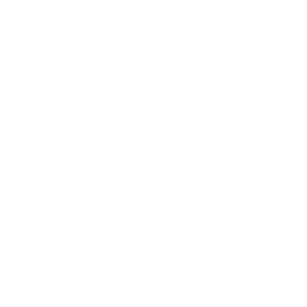 icon information access