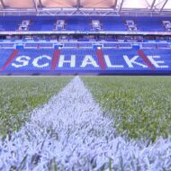 Het grasveld en de tribune van het Schalke Stadion