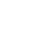 Digital end-to-end processes with DMS