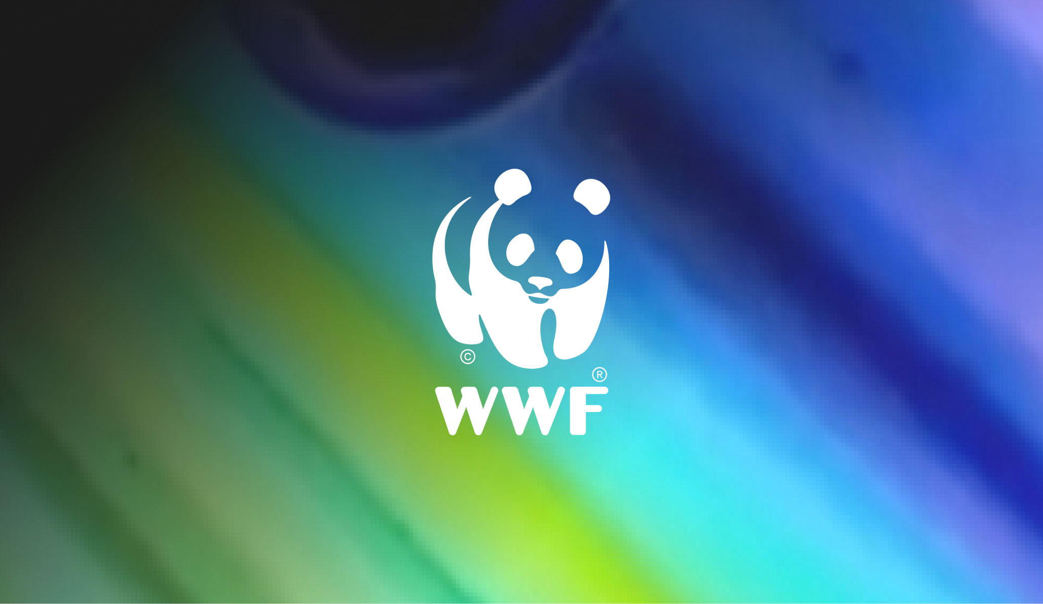 logo customer presentation wwf