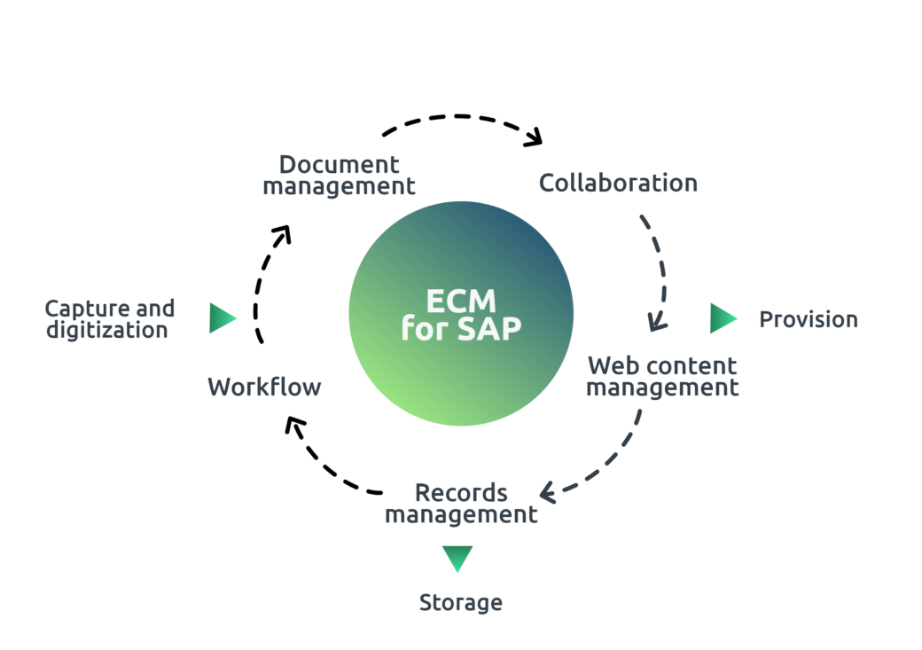 Graphic ECM system components